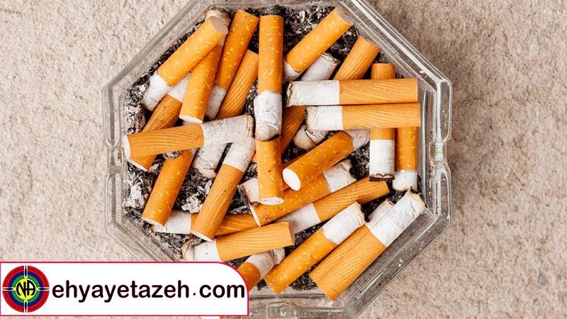هر آنچه باید درباره سیگار وینستون بدانید! - ویرگول هر آنچه باید درباره سیگار وینستون بدانید! - ویرگول