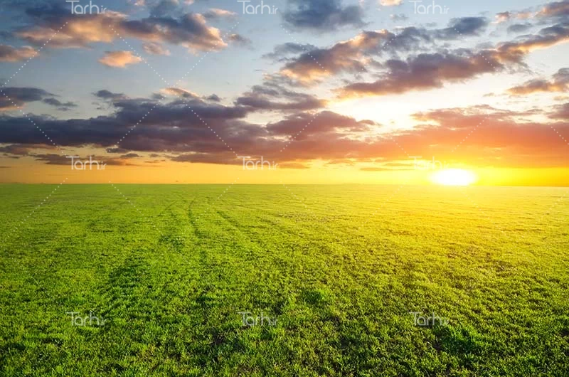 ویلاجات - راهنمای خرید زمین در شمال - 12 ویلاجات - راهنمای خرید زمین در شمال - 12