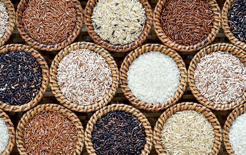 چند نوع برنج داریم؟ بررسی انواع برنج های برداشت شده در جهان چند نوع برنج داریم؟ بررسی انواع برنج های برداشت شده در جهان