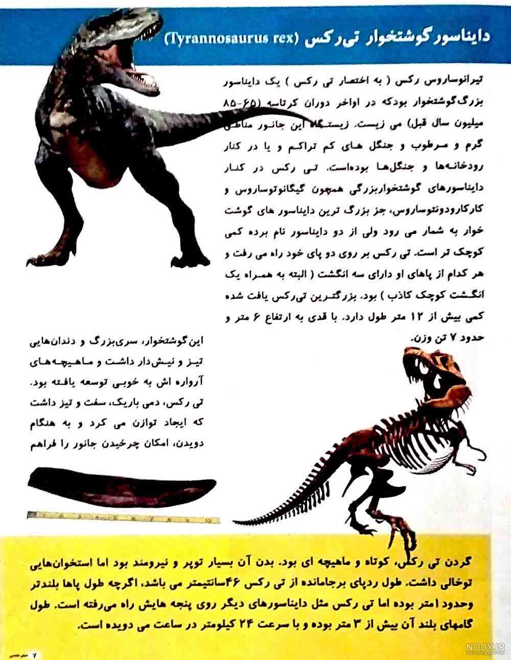 کشف نادر ردپای آخرین نسل دایناسور‌ها در شرق چین | خبرگزاری صدا و سیما