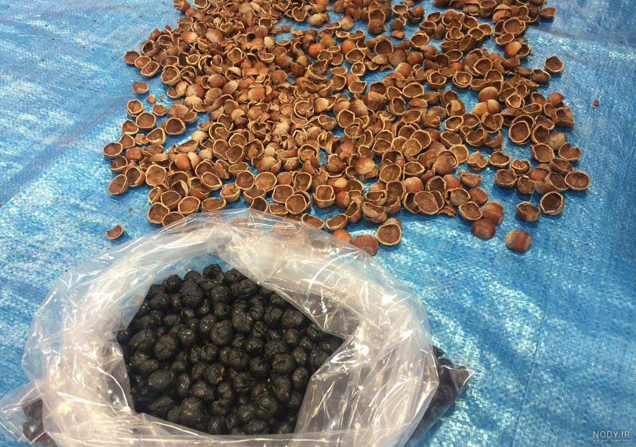 کشف 250 کیلو تریاک در یک کامیون +عکس کشف 250 کیلو تریاک در یک کامیون +عکس