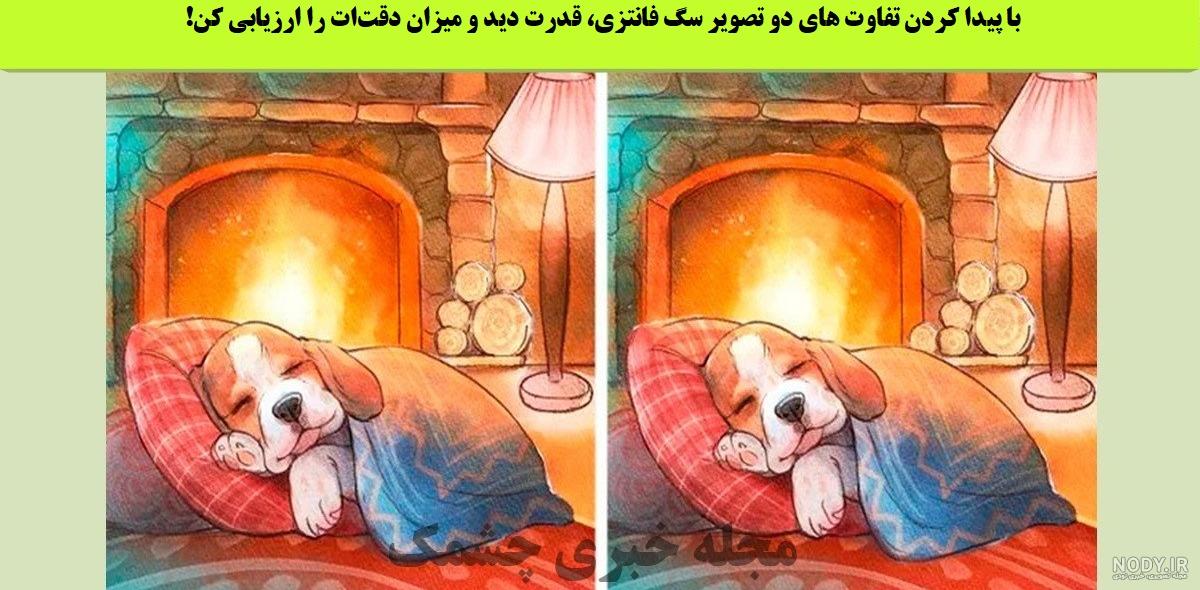 کیوت ترین تصویر زمینه سگ بامزه سفید فانتزی برای گوشی دخترونه کیوت ترین تصویر زمینه سگ بامزه سفید فانتزی برای گوشی دخترونه
