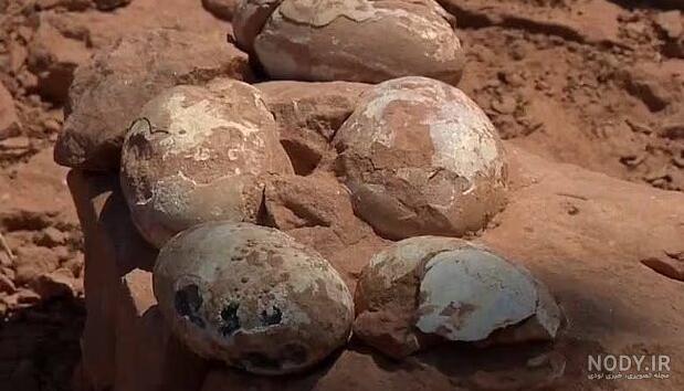 گجت نیوز - فروش یکی از کامل‌ترین اسکلت های دایناسور تی رکس با قیمت  باورنکردنی - صاحب‌خبر