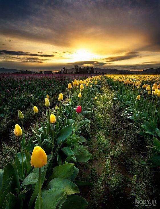 عکس خفن عکس طلوع صبح تهران