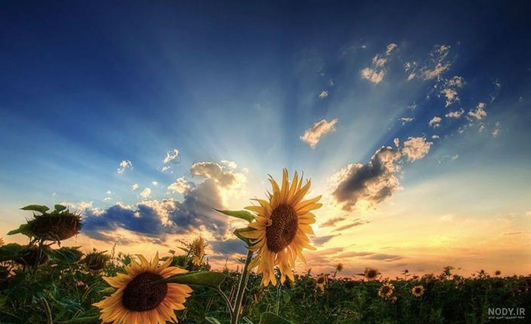 عکس خفن عکس طلوع صبح تهران