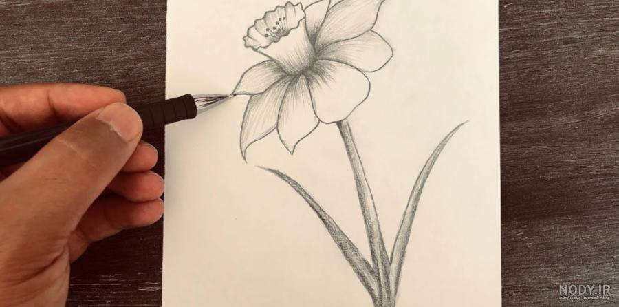 آموزش طراحی با مداد برای مبتدیان - گل رز با قطره های آب آموزش طراحی با مداد برای مبتدیان - گل رز با قطره های آب