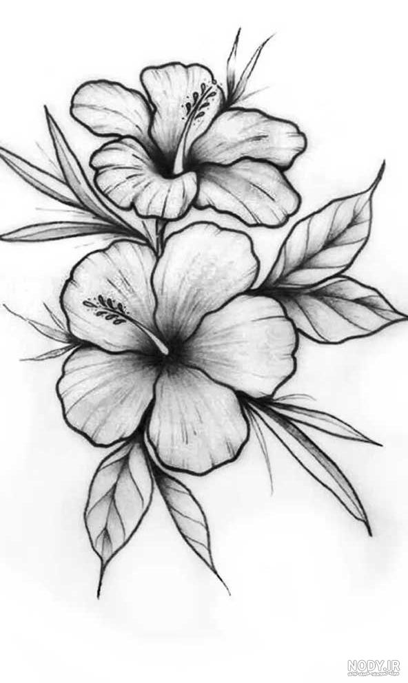 آموزش نقاشی آسان گل رز|how to draw a rose - YouTube آموزش نقاشی آسان گل رز|how to draw a rose - YouTube
