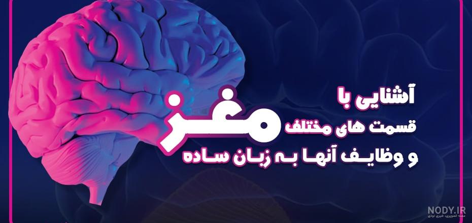 با این 5 ورزش تمرکز ذهن، آماده‌تر و متمرکزتر باشید!