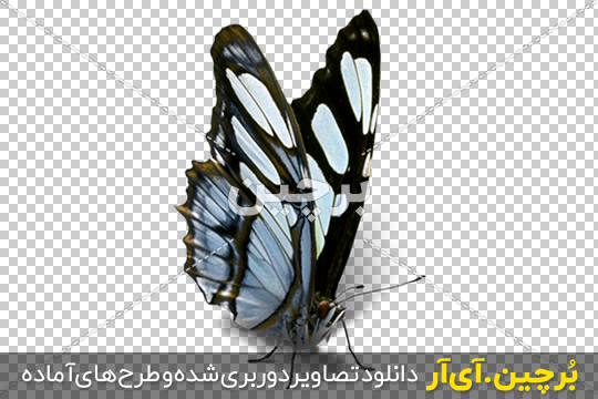 ترنسپرنت براش | آموزش گرافیک | آموزش آنلاین یمانی