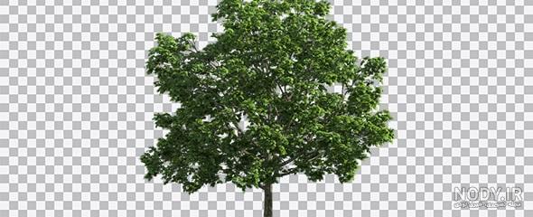 سایت ترنسپرنت عکس