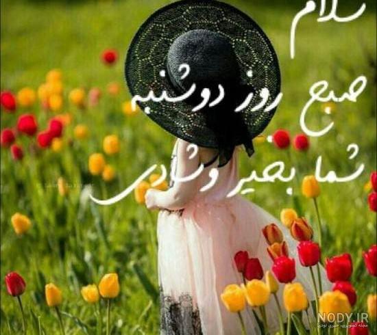 عکس روز بخیر