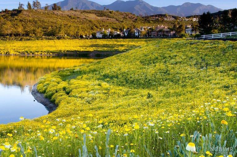 عکس طبیعت 1403 | عکس منظره زیبا برای پروفایل | عکس منظره دریا برای پروفایل