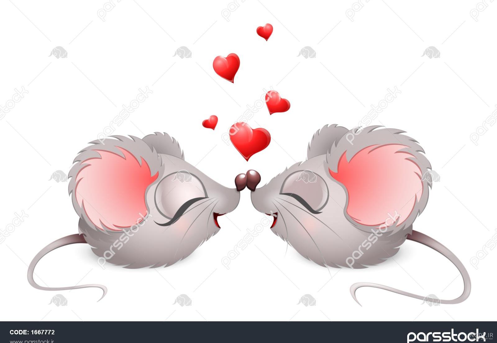 عکس موش کوچولو و بامزه و شیطون با کیفیت بالا عکس موش کوچولو و بامزه و شیطون با کیفیت بالا