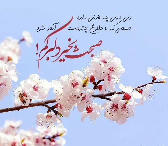 عکس نوشته های سلام صبح بخیر جدید عکس نوشته های سلام صبح بخیر جدید