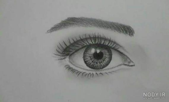عکس گل رز سیاه قلم عکس گل رز سیاه قلم