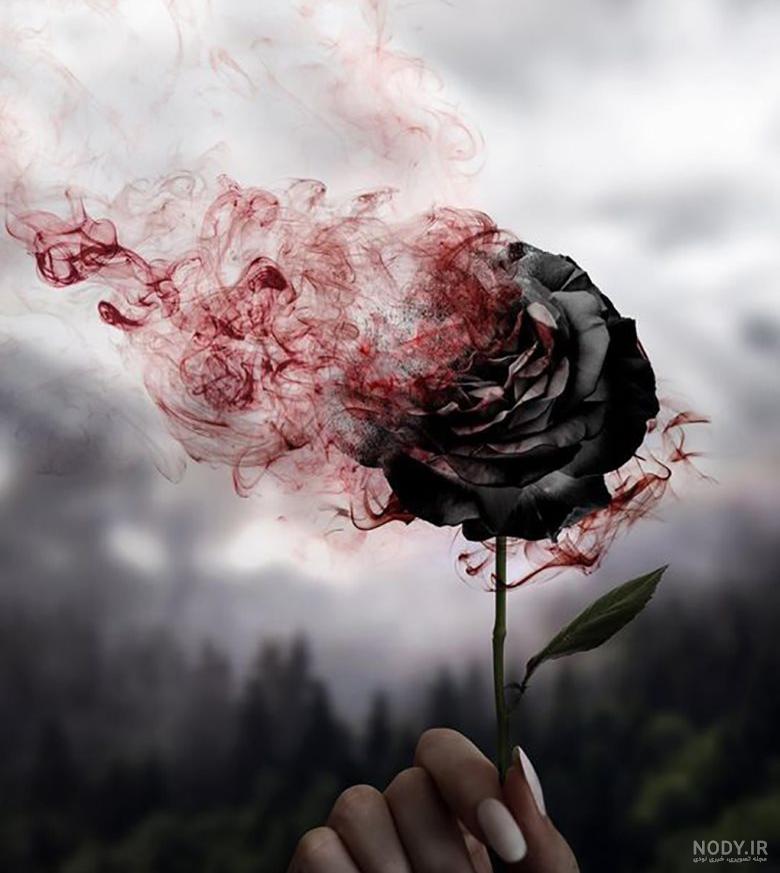 عکس گل سیاه سفید خاص برای پروفایل تلگرام و اینستاگرام
