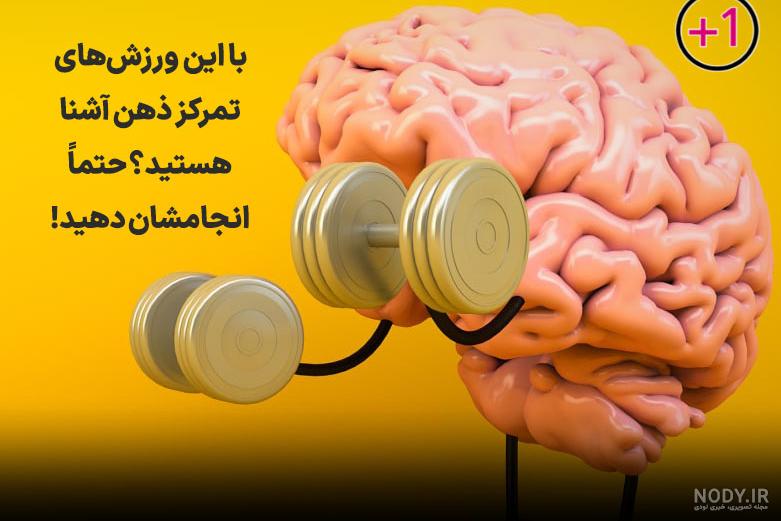 فرق مغز و ذهن - هزارسرو | دیسیپلین - تغییر عادت ها - تغییر باورها فرق مغز و ذهن - هزارسرو | دیسیپلین - تغییر عادت ها - تغییر باورها