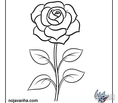 نقاشی های سیاه قلم حرفه ای از طبیعت، گل، چهره ها، میوه ها و اشیا نقاشی های سیاه قلم حرفه ای از طبیعت، گل، چهره ها، میوه ها و اشیا