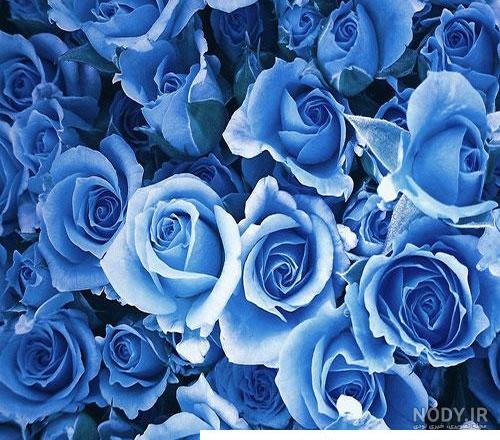 پس زمینه آبی برای علاقه مندان به این رنگ آرامش بخش پس زمینه آبی برای علاقه مندان به این رنگ آرامش بخش