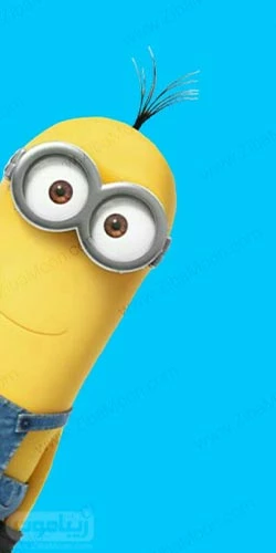 عکس مینیون تکی