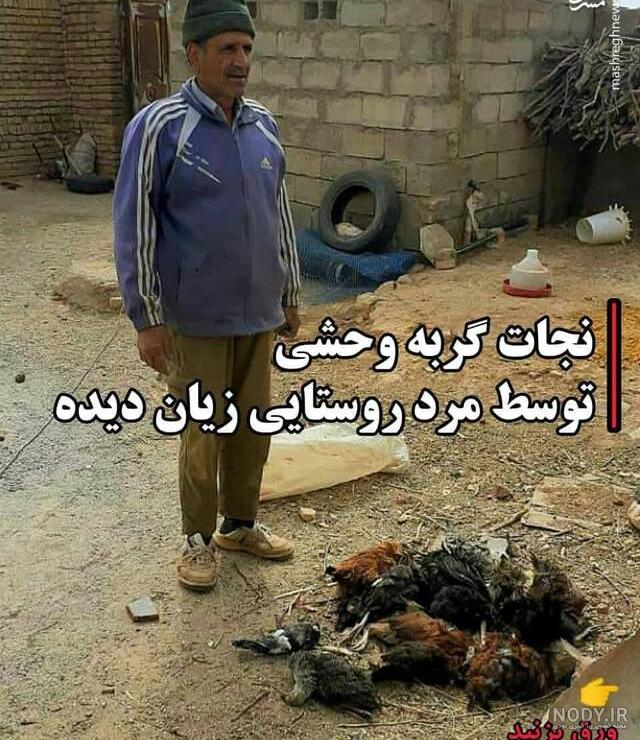 اقدام وحشیانه یک مرد برای آمادگی 2 سگ مسابقه ای + فیلم اقدام وحشیانه یک مرد برای آمادگی 2 سگ مسابقه ای + فیلم