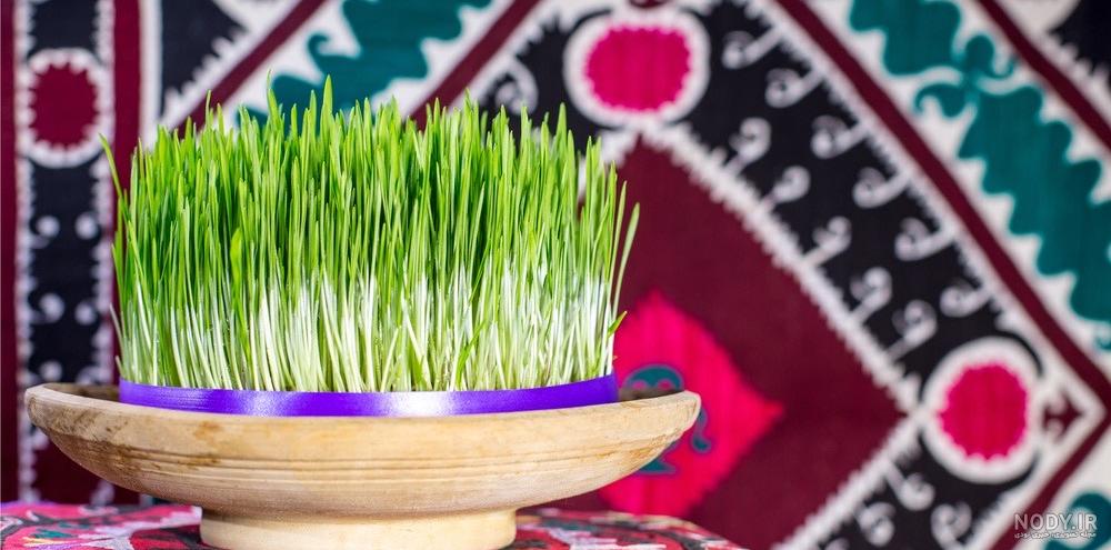 سبزه‌های خلاق عید نوروز | وبلاگ شیپور