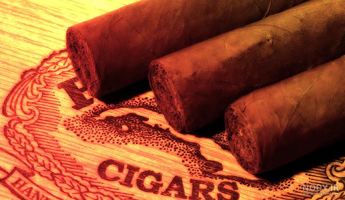 سیگاربرگ آرتور فونته مدل Exquisitos Maduro » ایران هابانا