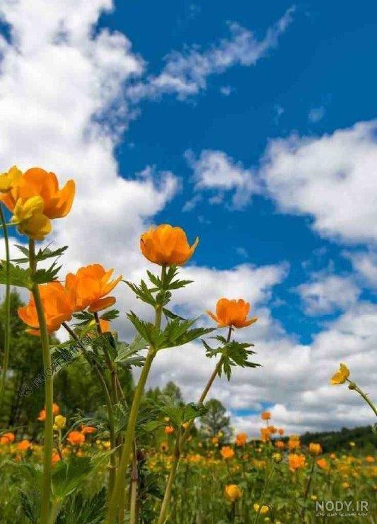 عکس برای روز بخیر گفتن