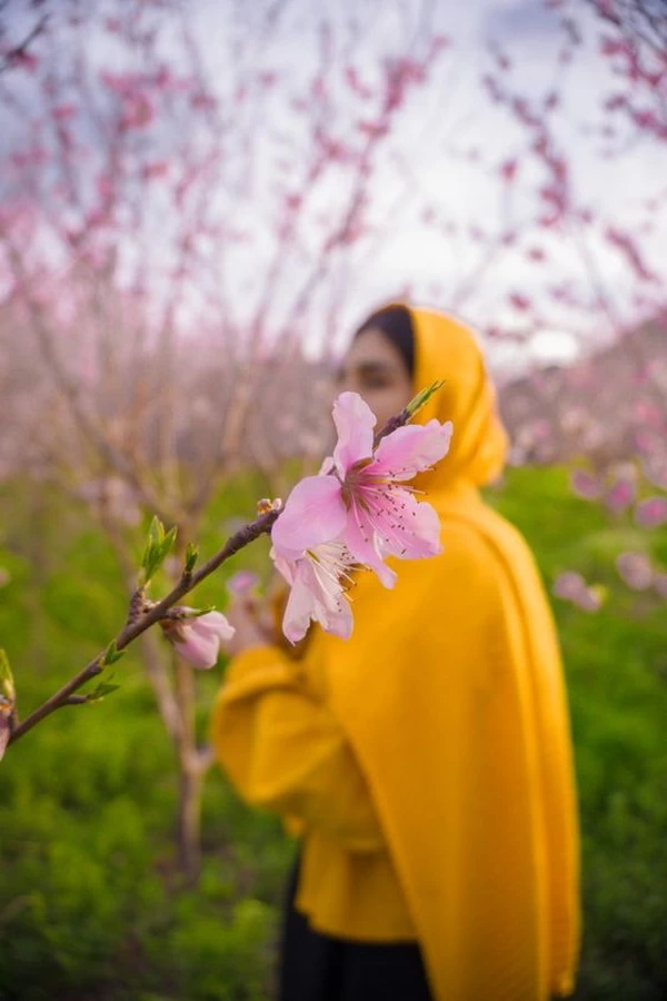 عکس فیک سینما