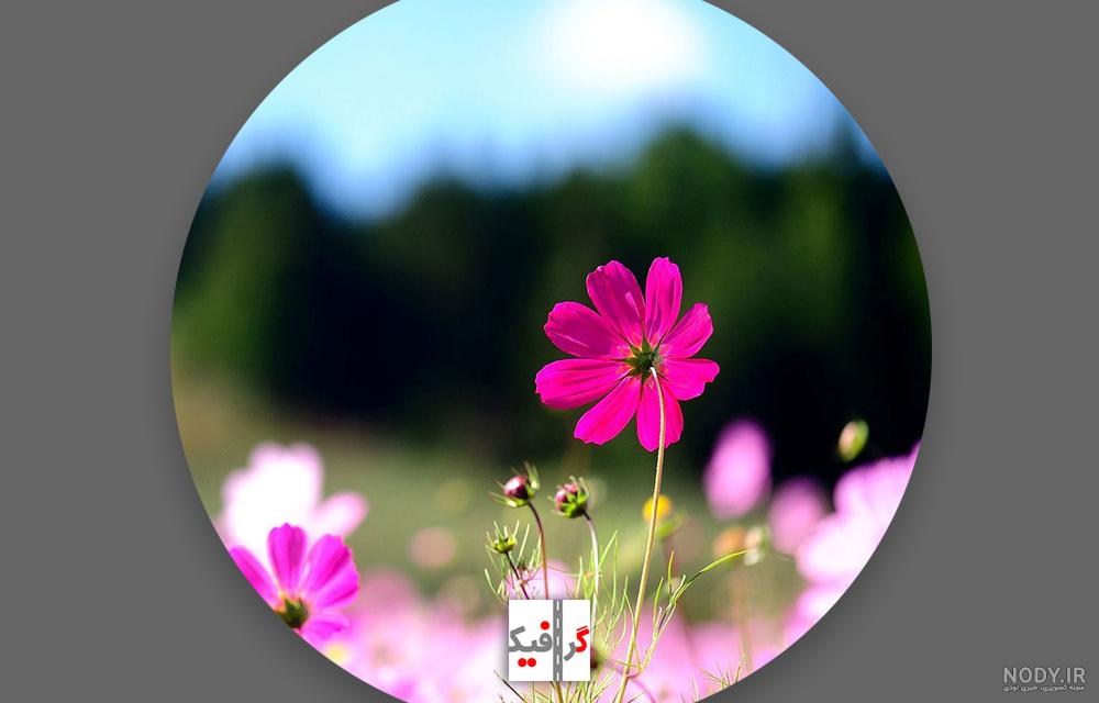 عکس پروفایل اینستا جدید