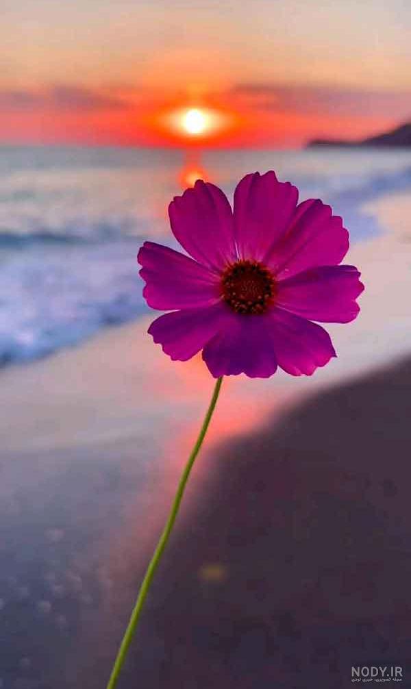 عکس خفن 110 عکس پروفایل اینستاگرام خفن