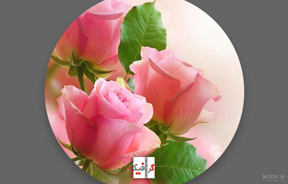 عکس پروفایل اینستا جدید