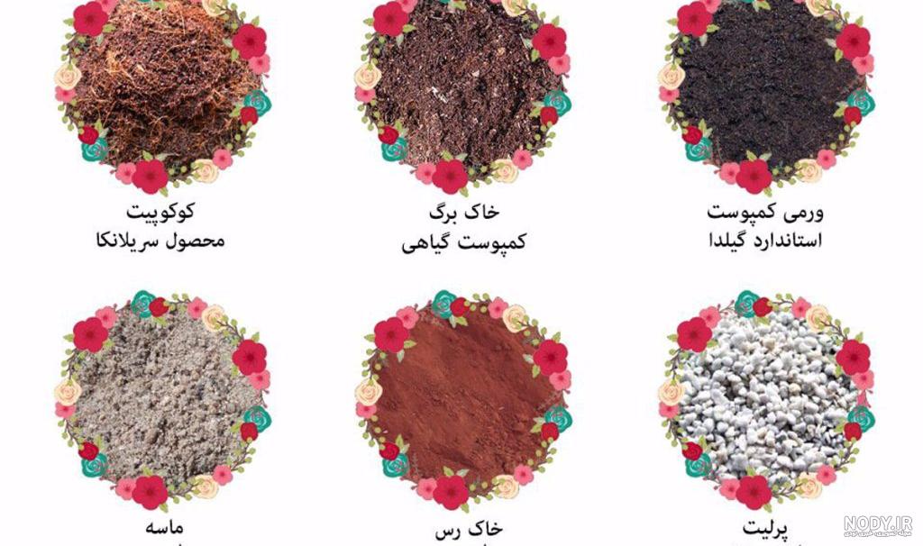 7 مرحله‌ی تعویض گلدان برای مراقبت بهاری از گیاهان آپارتمانی • دیجی‌کالا مگ