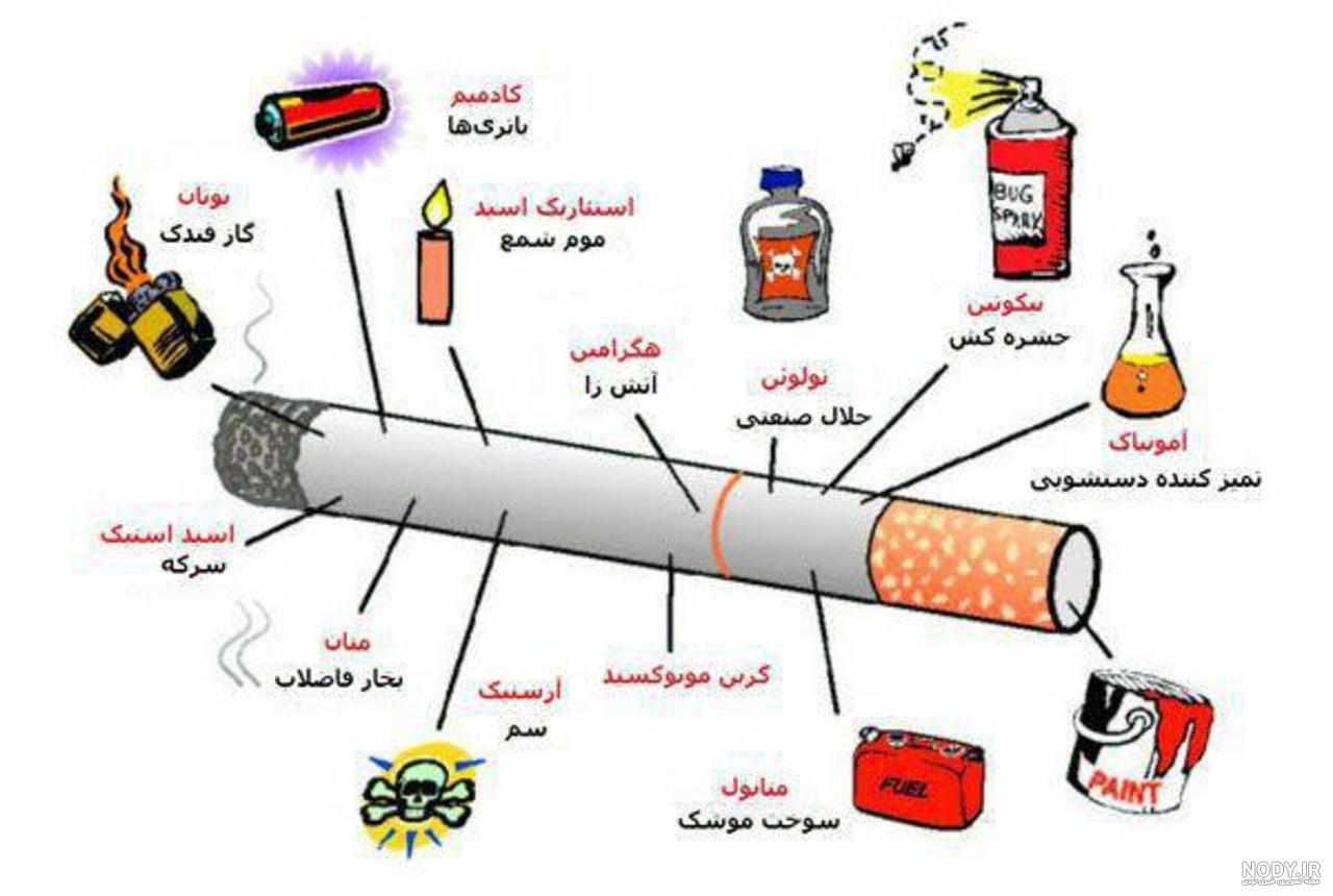 اسکار سفید بدون عکس اسکار سفید بدون عکس