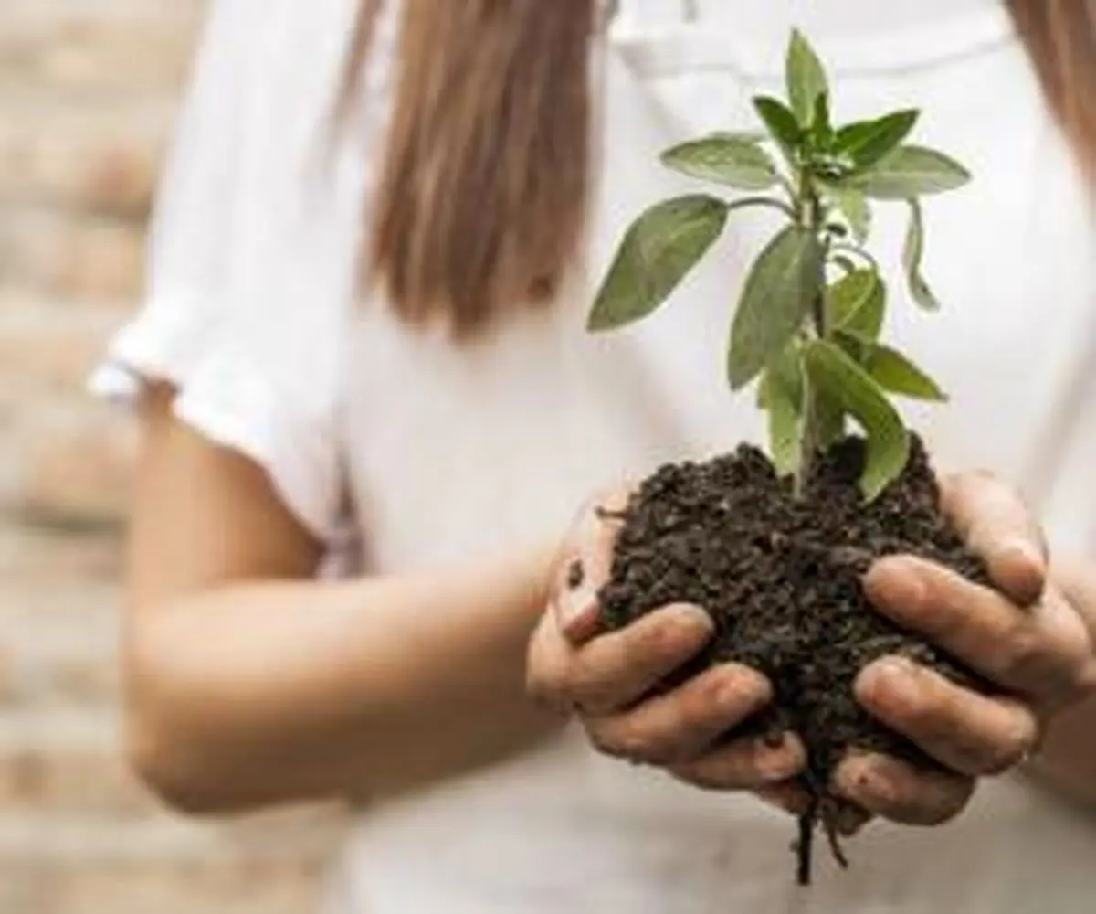 انواع خاک گلدانی و بستر کاشت برای گیاهان - ستاره انواع خاک گلدانی و بستر کاشت برای گیاهان - ستاره