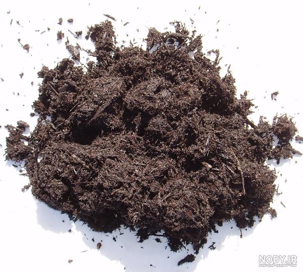 خاک ارکیده چگونه باید باشد؟ 13‌ ترکیب خاک مناسب گل ارکیده