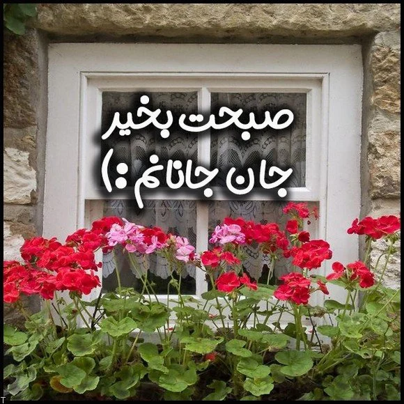 رمانتیک عکس صبح بخیر عاشقانه دونفره