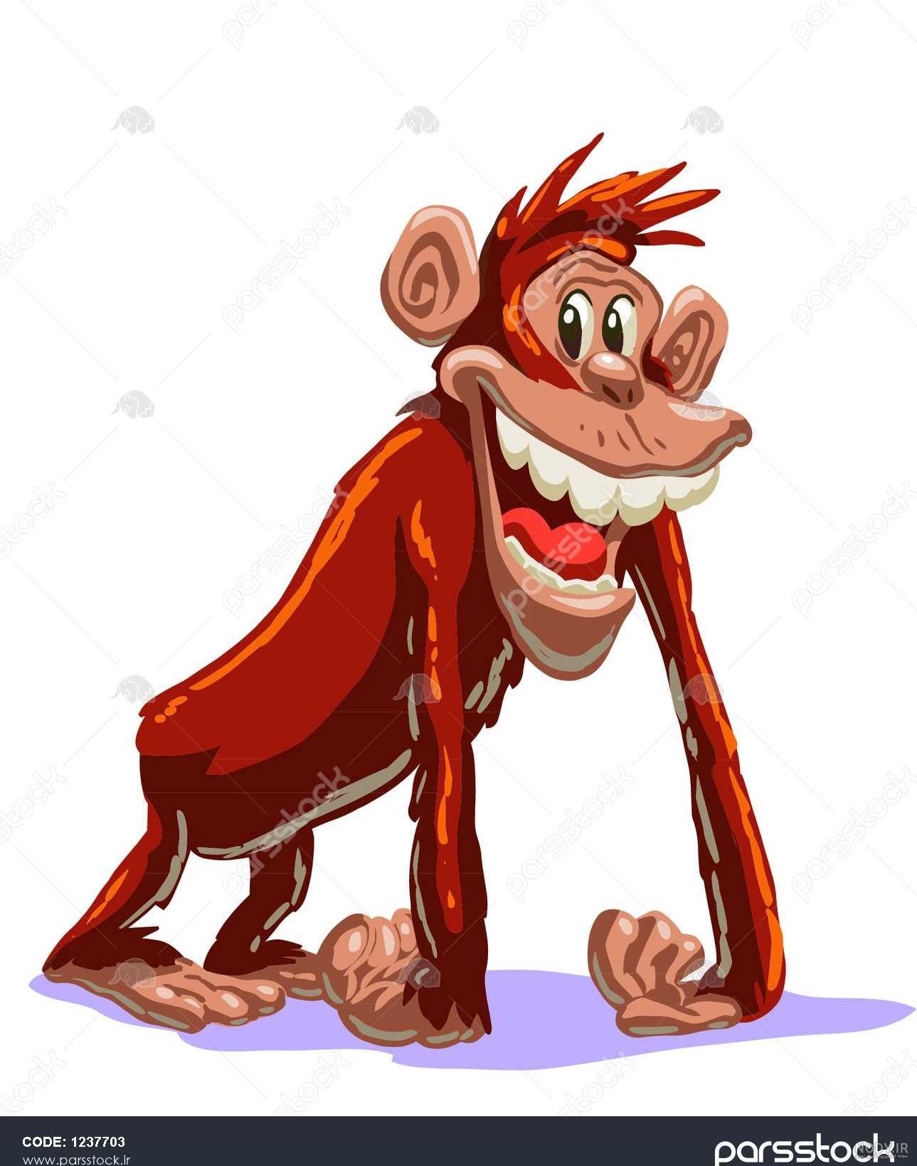عکس بچه میمون بامزه monkey baby image