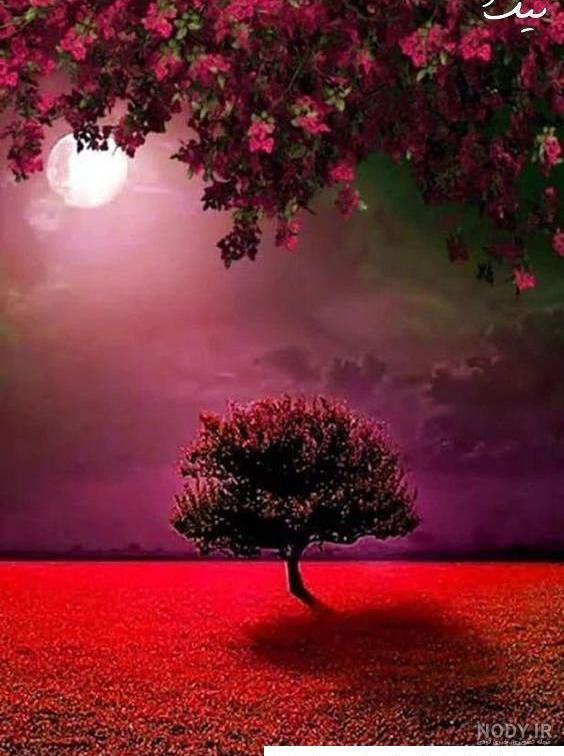 عکس دونفره طبیعت عاشقانه - عکس نودی