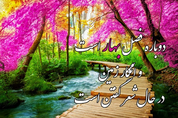 عکس رمانتیک منظره ❤️ [ بهترین تصاویر ]