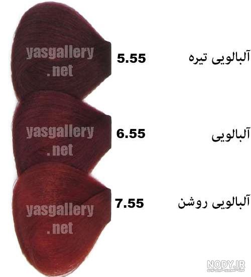 عکس رنگ مو آلبالویی تیره