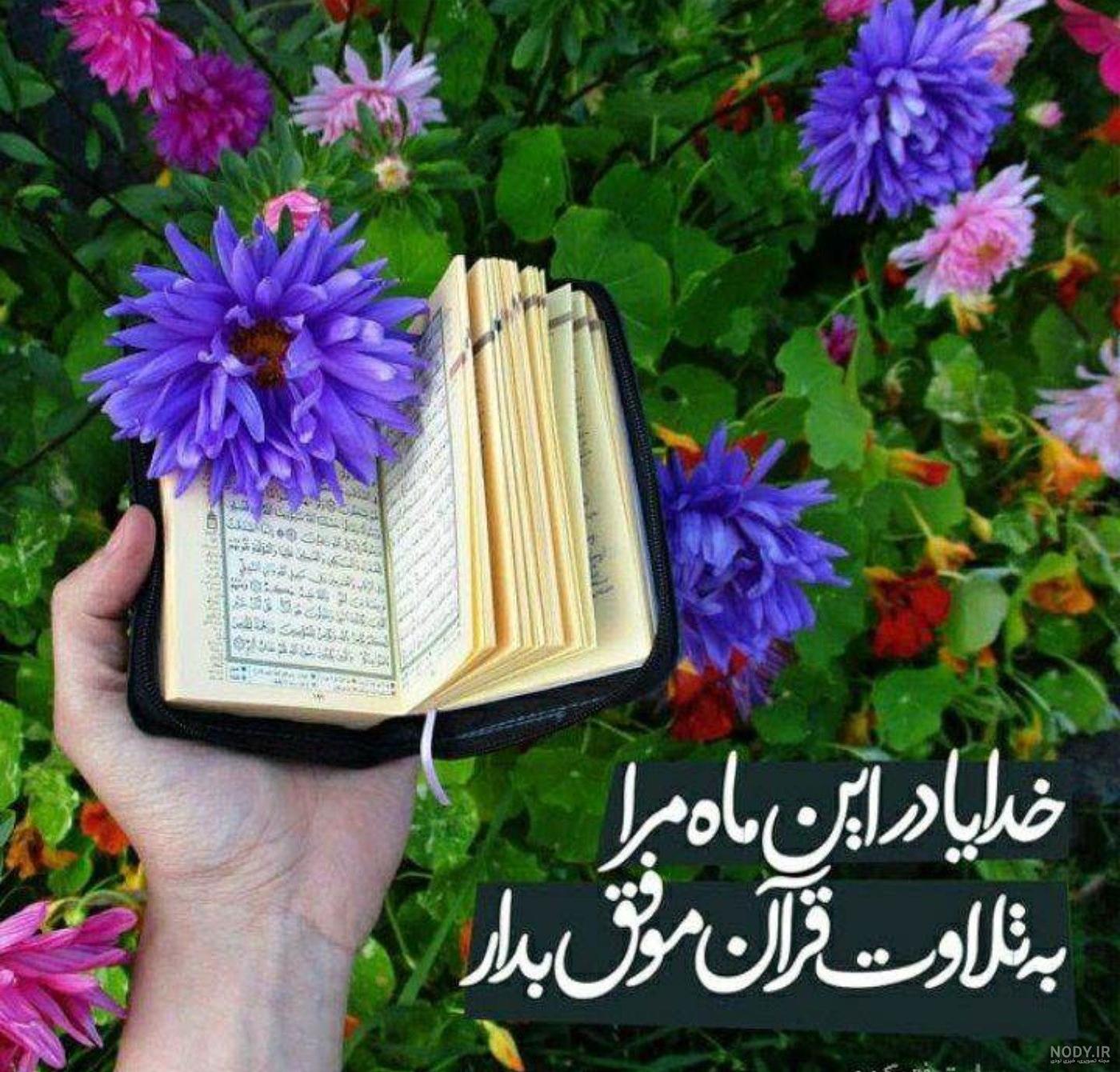 عکس گل برای پروفایل تاو بیو