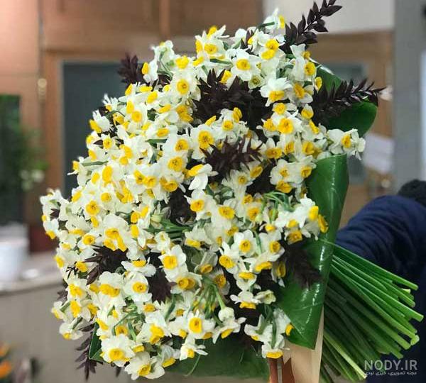 عکس گل نرگس برای پروفایل 2023 | عکس گل مریم | عکس گل برای پروفایل | عکس گل برای پروفایل واتساپ عکس گل نرگس برای پروفایل 2023 | عکس گل مریم | عکس گل برای پروفایل | عکس گل برای پروفایل واتساپ