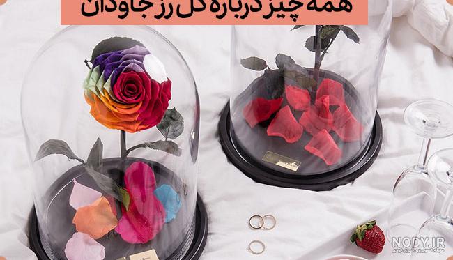 عکس گل پژمرده نقاشی عکس گل پژمرده نقاشی