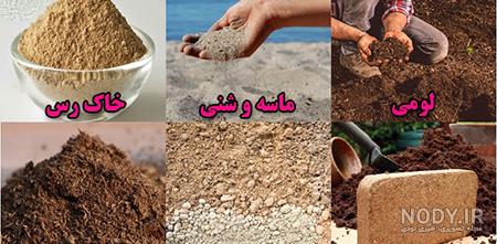 فقط با ترکیب این 7 نوع خاک گلدان، گیاهتان را غول پیکر کنید! فقط با ترکیب این 7 نوع خاک گلدان، گیاهتان را غول پیکر کنید!