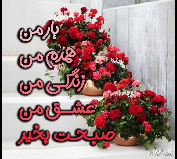 متن صبح بخیر عاشقانه | اس ام اس صبح بخیر عشقم