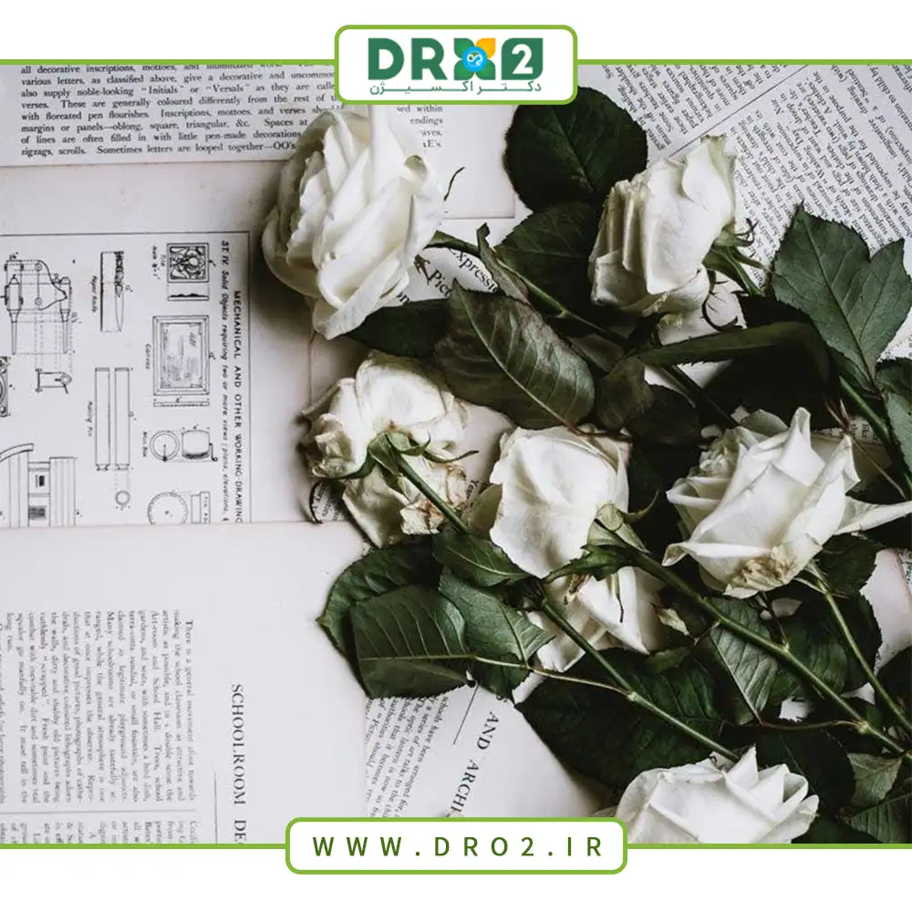نقاشی گل : 50 طرح گل برای رنگ آمیزی کودکان نقاشی گل : 50 طرح گل برای رنگ آمیزی کودکان