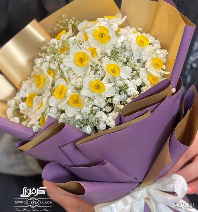 والپیپر و عکس های زیبا از گل نرگس شیراز و شهلا با کیفیت بالا والپیپر و عکس های زیبا از گل نرگس شیراز و شهلا با کیفیت بالا