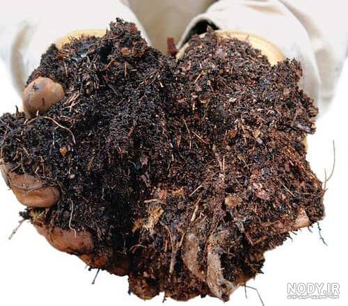ویژگی ها و تفاوت های اصلی خاک باغچه و گلدان ویژگی ها و تفاوت های اصلی خاک باغچه و گلدان
