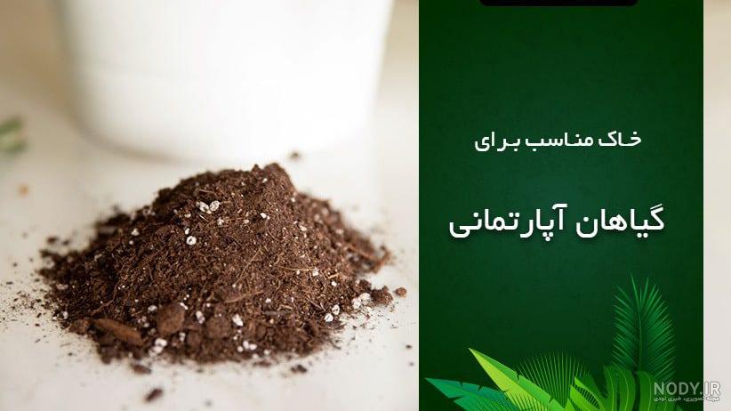 چند نوع خاک گلدان وجود دارد و بهترین خاک کدام است؟ چند نوع خاک گلدان وجود دارد و بهترین خاک کدام است؟
